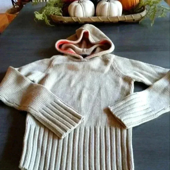 Theory Hoodie Sweater NWOT - Picture 1 of 8